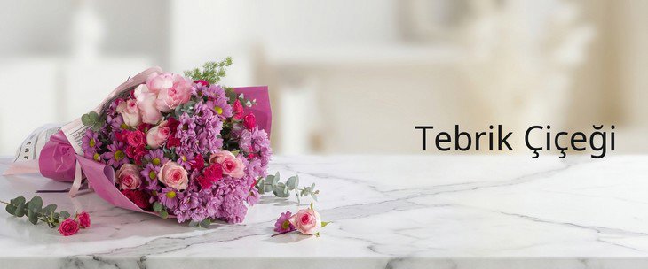 Tebrik Çiçeği