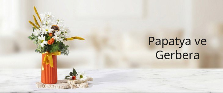 Papatya ve Gerbera